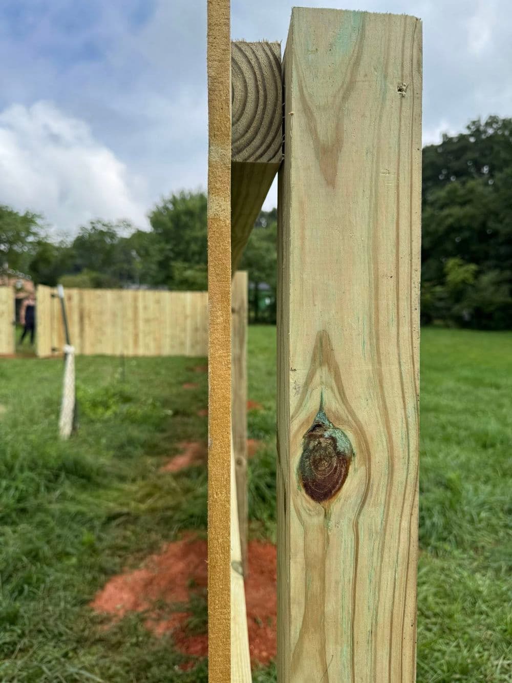 Wooden fence posts under construction in a grassy field. Blue sky and trees in the background.